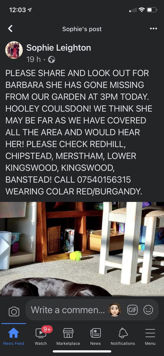 carla maloney tweet media