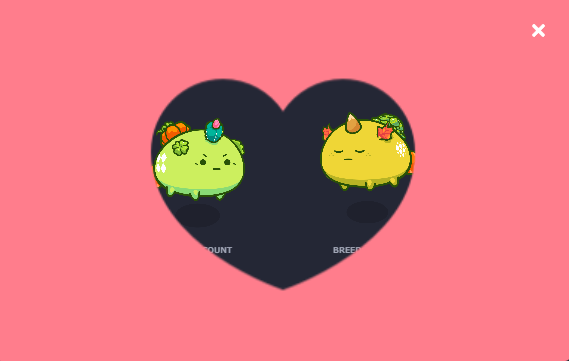 bbook_ax's tweet photo. Breeding more! https://t.co/2Nwipv676Z
