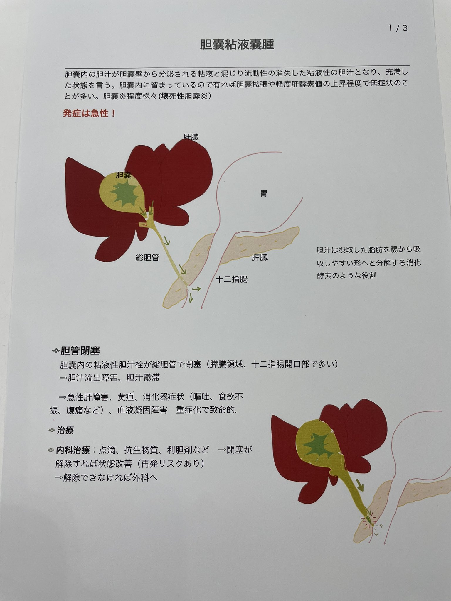 胆嚢粘液嚢腫 Twitter Search Twitter