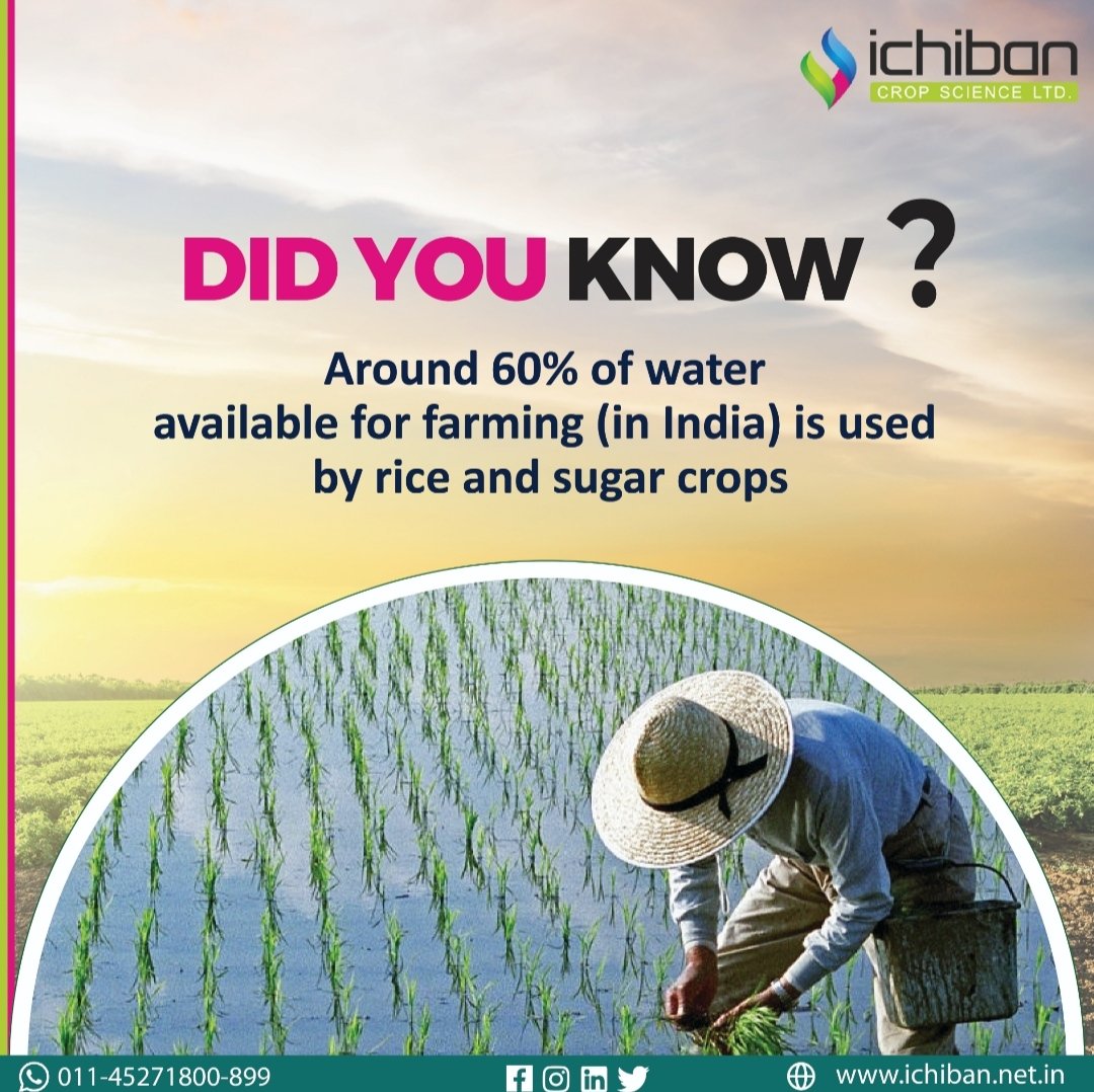 ICHIBAN CROP SCIENCE LTD. on Twitter: 