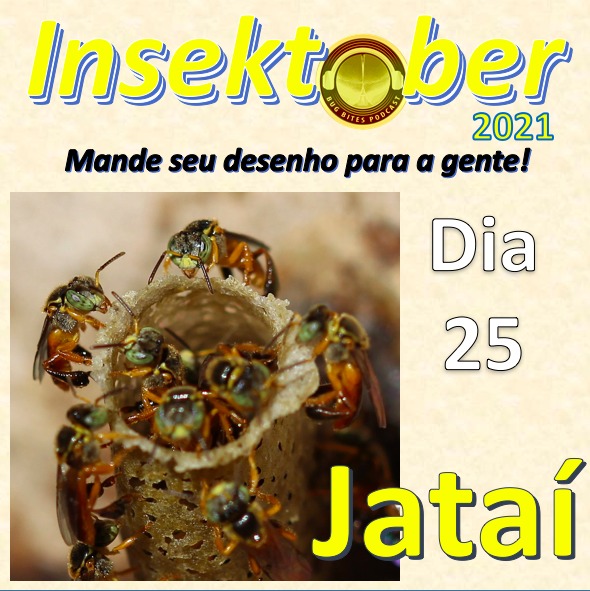 BugBitesPodcast's tweet photo. Essas lindas de olhos verdes são as #abelhas Jataí! Nativas do Brasil, elas fazem parte do grupo de abelhas "sem-ferrão", isto é, abelhas que naturalmente não tem #ferrão da tribo Meliponini. Seu nome #científico é Tetragonisca angustula. https://t.co/6rkSq8ImEp