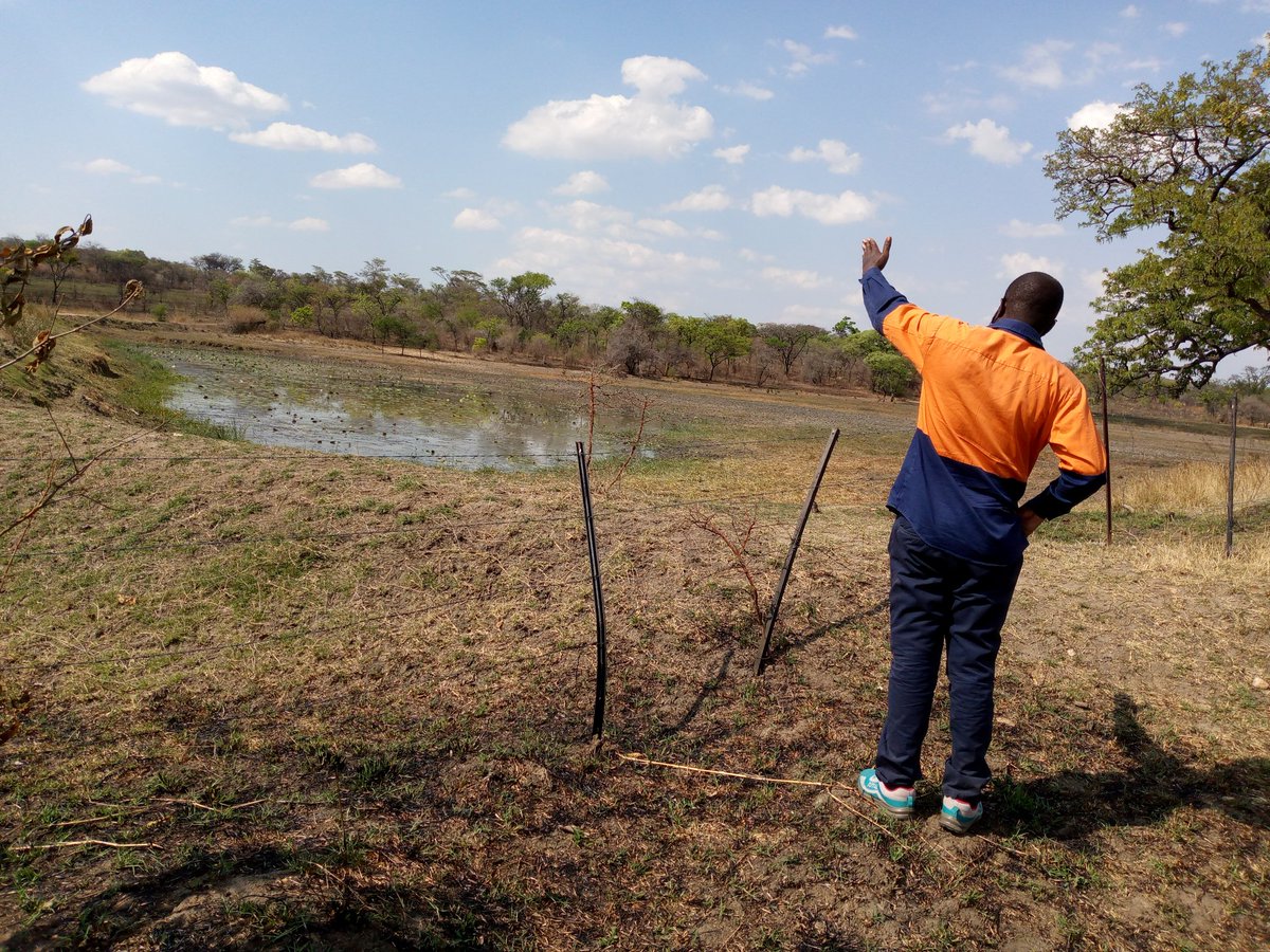 Wilbert Mutezo tweet media