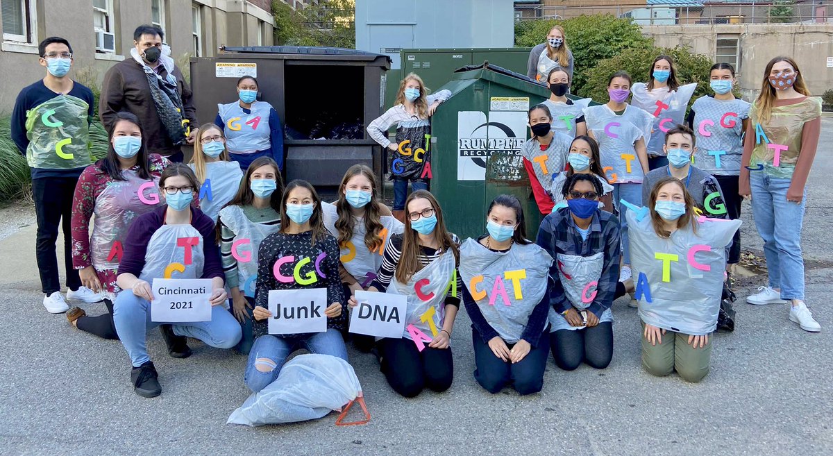 Whatcha gonna do with all that junk (DNA)? 

Vote for Cincy GCGP for #Hallogene21 by liking the ORIGINAL post!😊🎃🧬