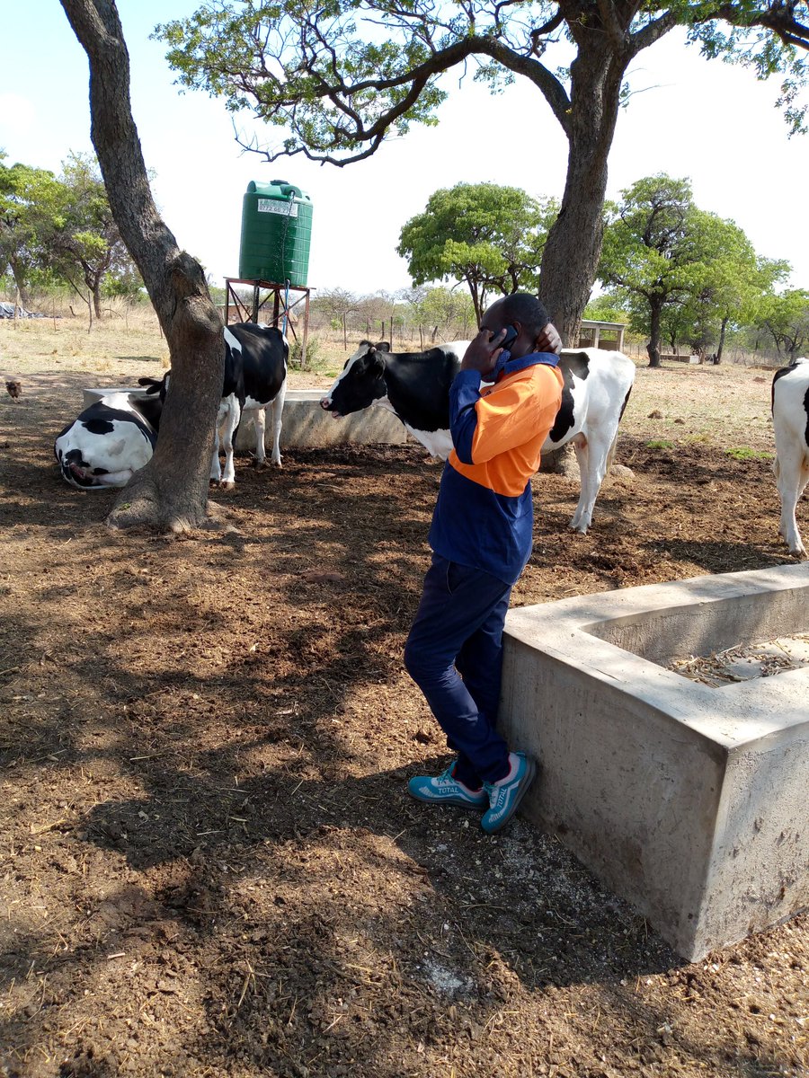 Wilbert Mutezo tweet media