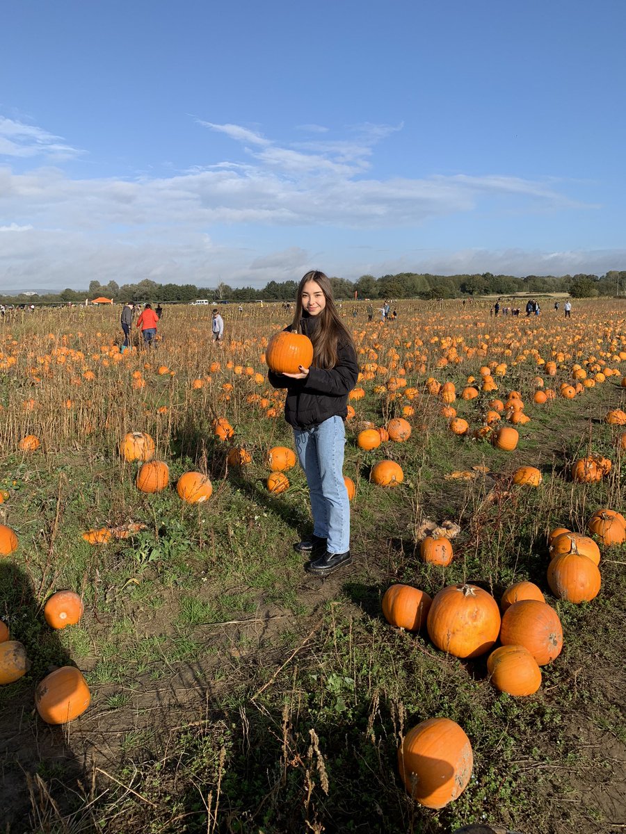 TeachMissa's tweet photo. Never been pumpkin before but my sister and I quite enjoyed it 🎃🎃 https://t.co/EeEaDCB7x9