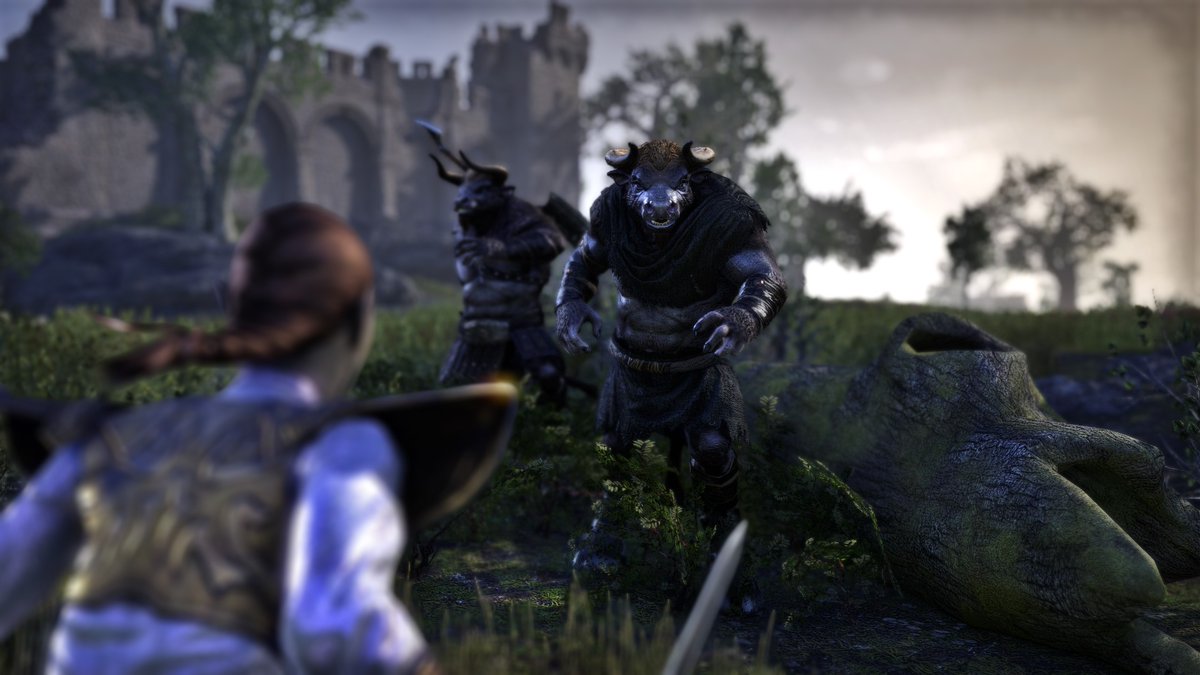 Triinuts's tweet photo. Mirri and the peaceful farmlife #ESO #ElderScrollsOnline https://t.co/3zaGDPrj9n