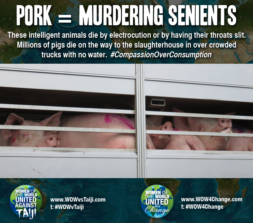 If you have a choice not to harm others, why would you? 

PORK = Murdering Sentients  #WOWvTaiji #WOW4Change #WorldveganDay #Vegan  wow4change.com