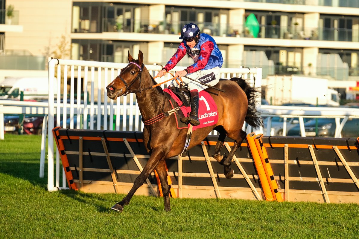 RacingTV's tweet photo. 💜 Paisley Park - entered at @WetherbyRaces on Saturday in the @bet365 Hurdle

🎥 The Jumps season is hotting up &amp; you can watch every race live from Wetherby this weekend on Racing TV 

@ELavelleracing | @AidanColeman https://t.co/hP1WggjpBr