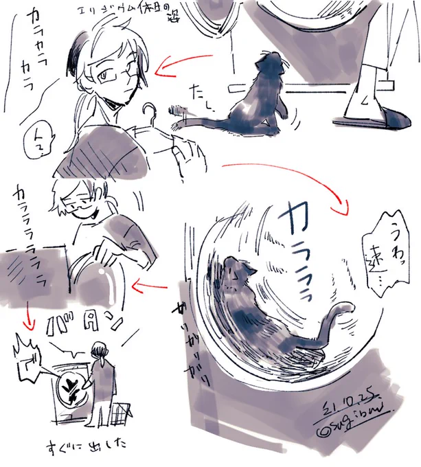 現パロ ねこうに せんたくき
これは成猫 