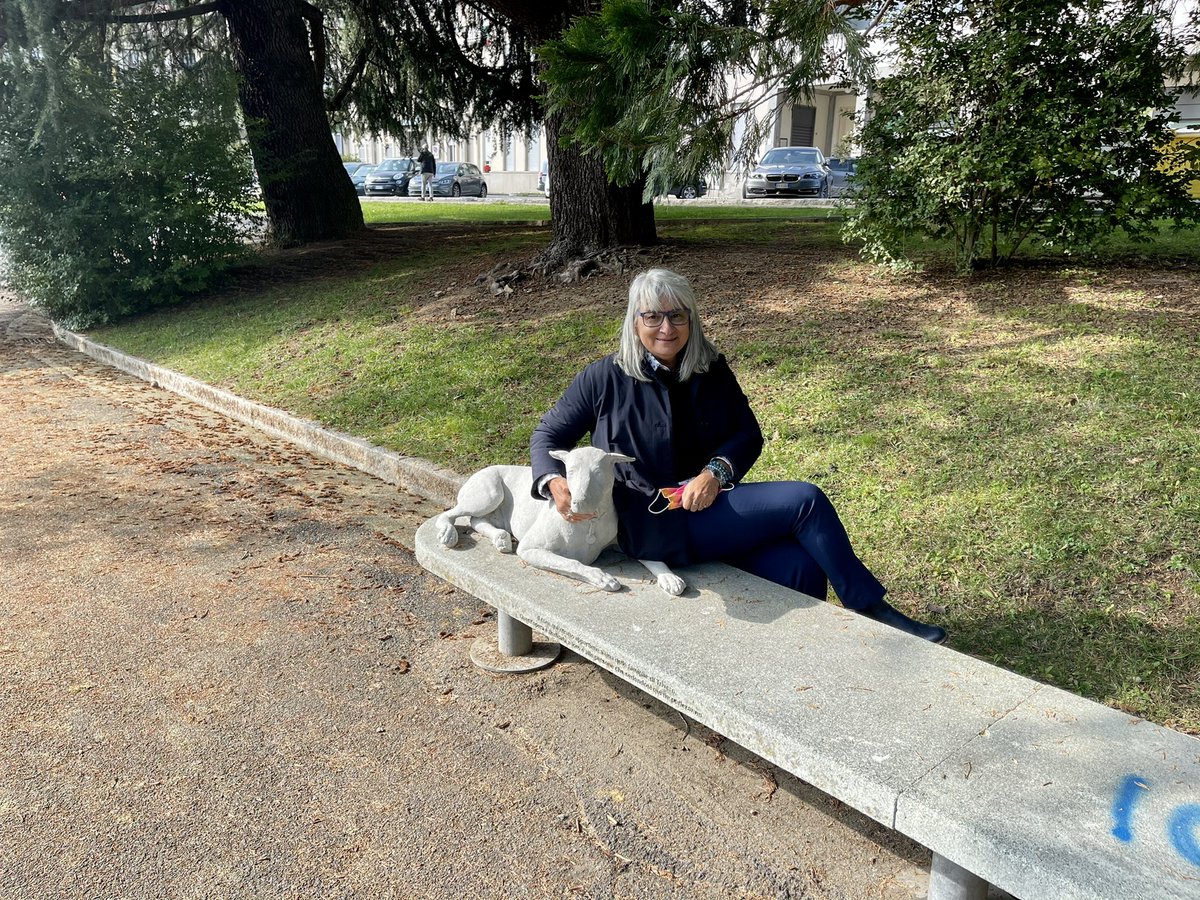 GallozziMrita's tweet photo. Siamo a #Trivero, nel Biellese, sede della storica manifattura tessile Zegna.Lo scultore Garutti, si è rivolto agli studenti di una 5 elem. e ha chiesto loro di disegnare un cane al quale sono affezionati.Nove dei tanti descritti sono poi stati trasfigurati in sculture di cemento https://t.co/2yM7XMpB4a