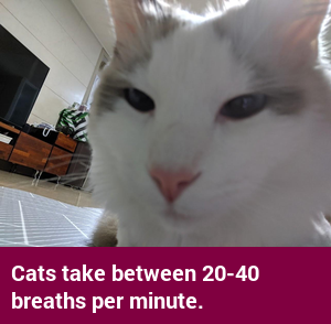 factcatbot's tweet photo. https://t.co/V9CeFtAv7p