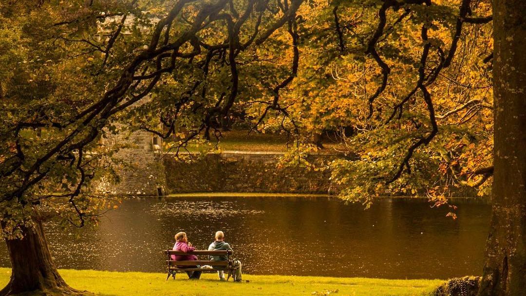 visitwexford's tweet photo. Happy Bank Holiday Monday! What did you get up to over the long weekend?
📸 @KielyDes
Plan your Autumn ahead at https://t.co/caxUJVo0Pk 💜💛
#WexfordMemories #FallInLoveWithWexford #VisitWexford #KeepDiscovering #BestForSun #BestForFun #BestForTrails #IrelandsAncientEast https://t.co/PFctr6sDNL