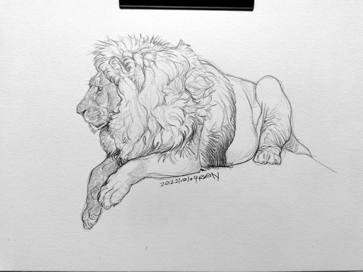 yitanran's tweet photo. Practice
big cats
#sketch #feral #bigcat #furry https://t.co/yviMSGx9ue