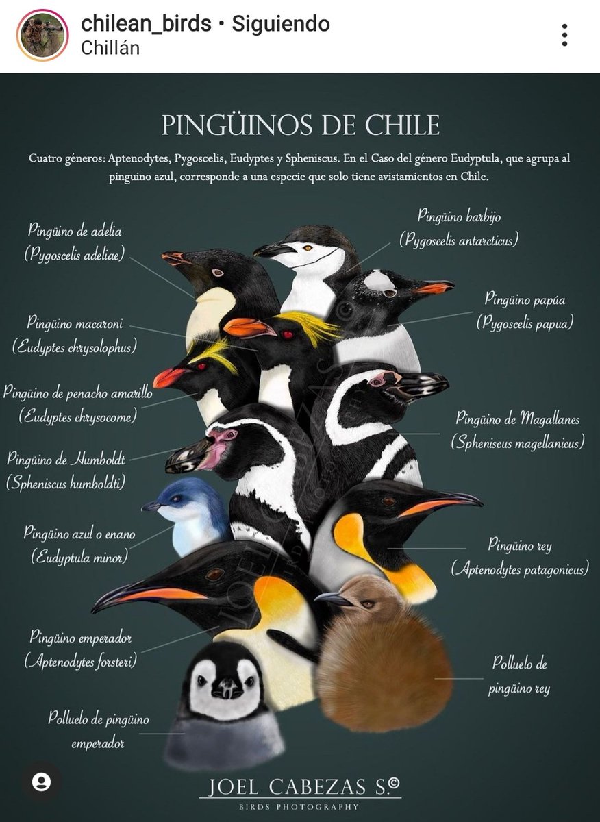 Claudia Fernández tweet media
