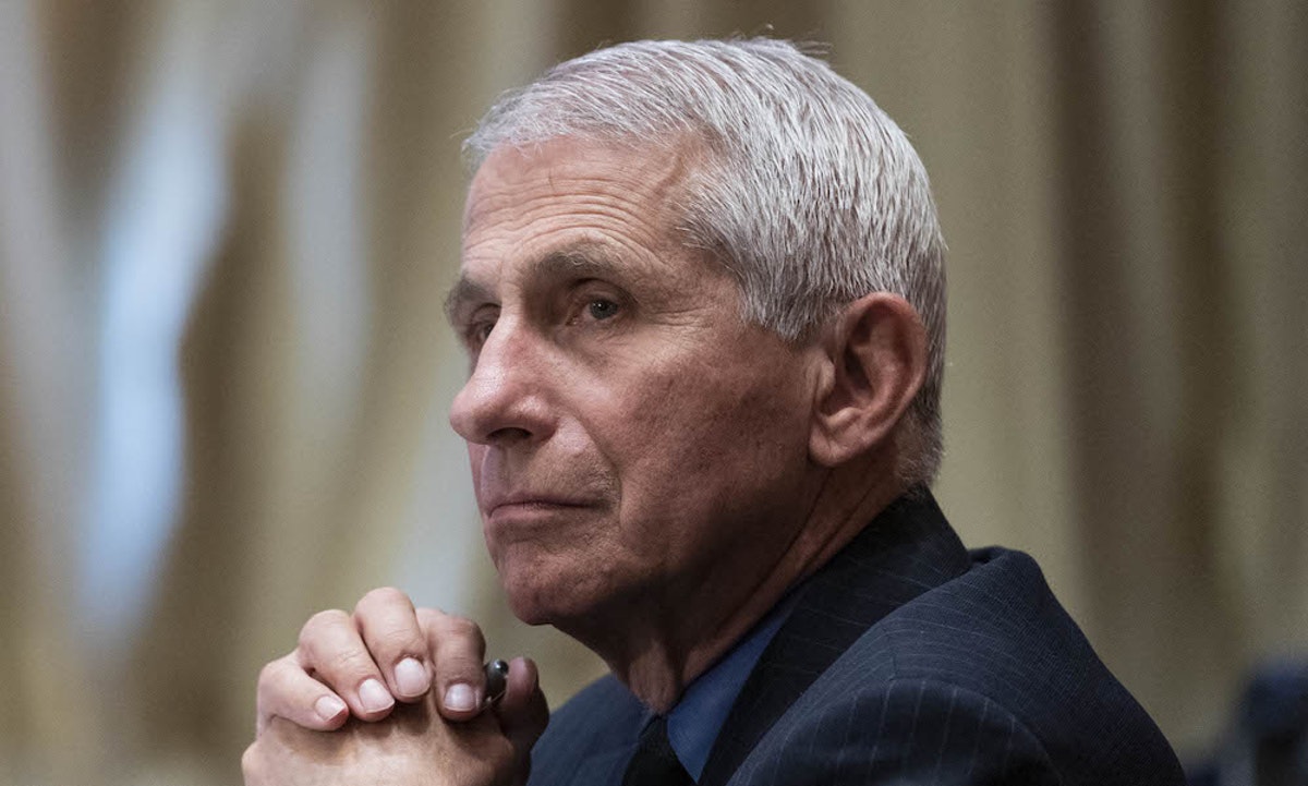 realDailyWire's tweet image. Social Media Erupts In Calls To ‘#ArrestFauci’ As Doctor Accused Of Lying, Funding ‘Cruel’ Puppy Testing dlvr.it/SBFhRH