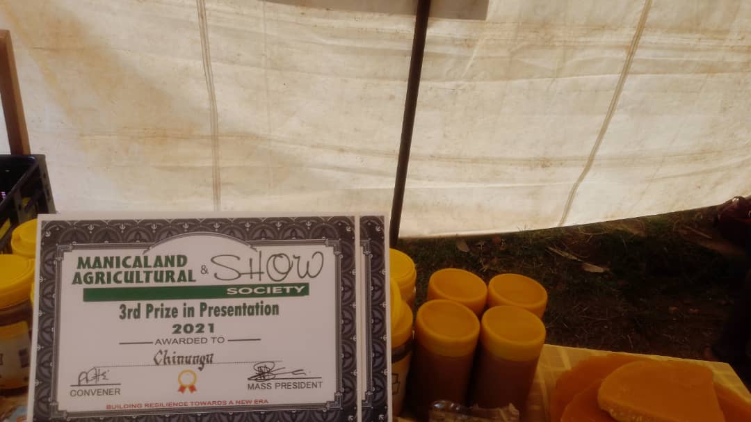 BioHubZim's tweet photo. The Chiningu Cooperative won 4 prices after participating in the Manicaland provincial agricultural competition show in Mutare from the 21st to the 23rd of October 2021. We are incredibly proud! #ZRBF #progressproject #resilience #ResilientCommunities https://t.co/4dSGLZCwut