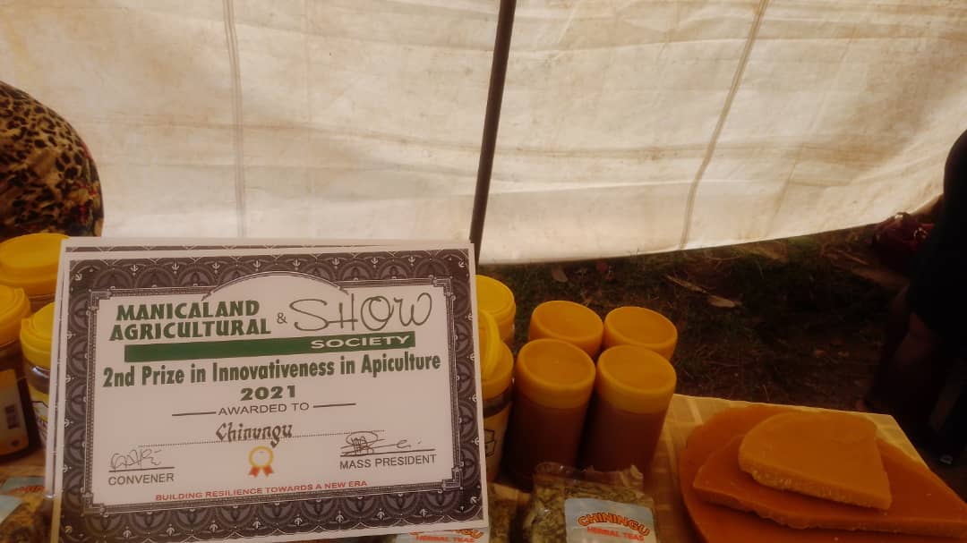 BioHubZim's tweet photo. The Chiningu Cooperative won 4 prices after participating in the Manicaland provincial agricultural competition show in Mutare from the 21st to the 23rd of October 2021. We are incredibly proud! #ZRBF #progressproject #resilience #ResilientCommunities https://t.co/4dSGLZCwut