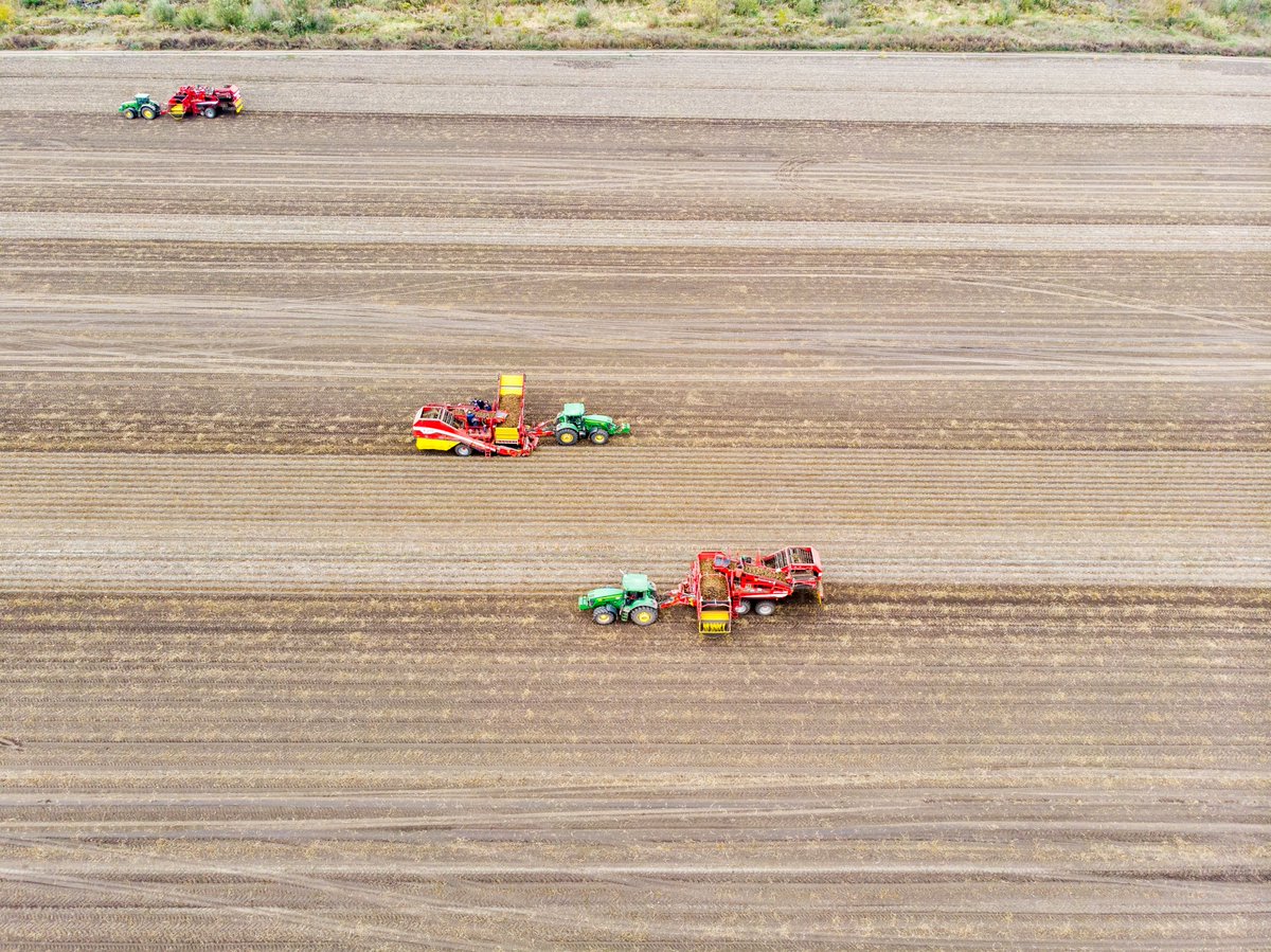 GRIMMEGroup's tweet photo. #PotatoMonday
At the beginning of the new week, we received these pictures from the #RowShow2021 with the EVO 280 and EVO 290 from Russia.
#GRIMME #EVO290 #EVO280 #potato https://t.co/ZqNVXNEOZA