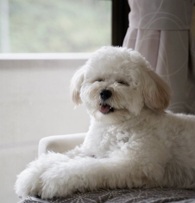 くるみはん Krmhan 01 Twitter