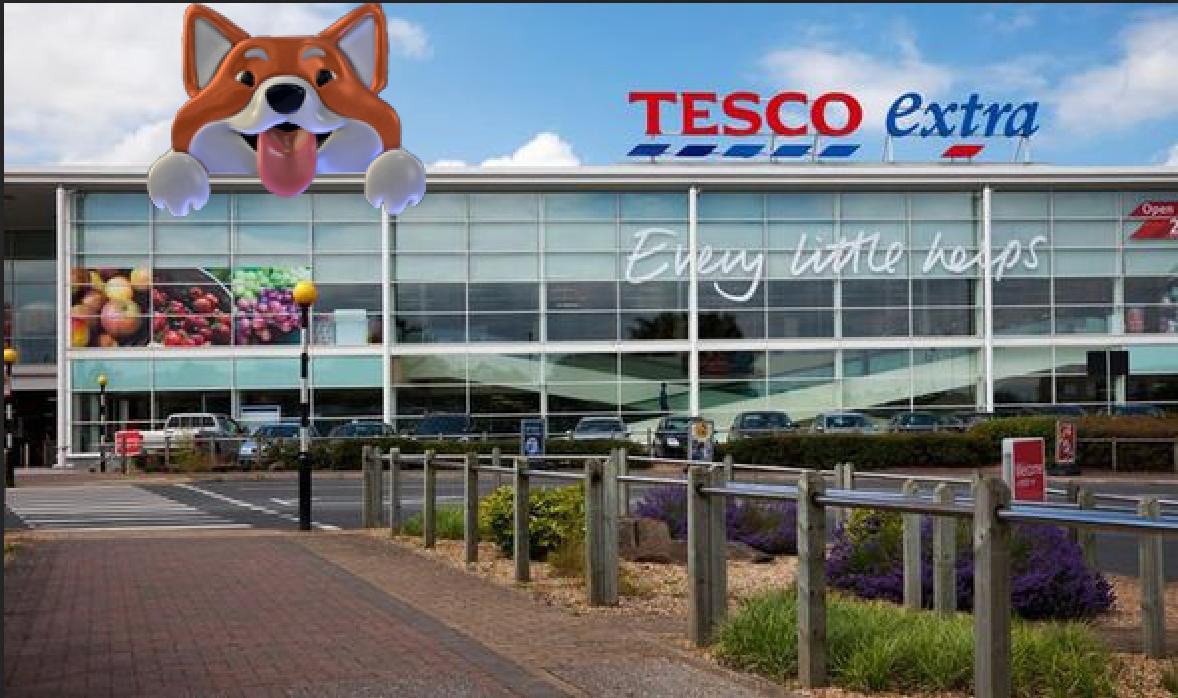 ShibakuTribe's tweet photo. @Tesco Shibakus are never down.
#veryclubcard #muchvalue https://t.co/4A1wRFK7CA