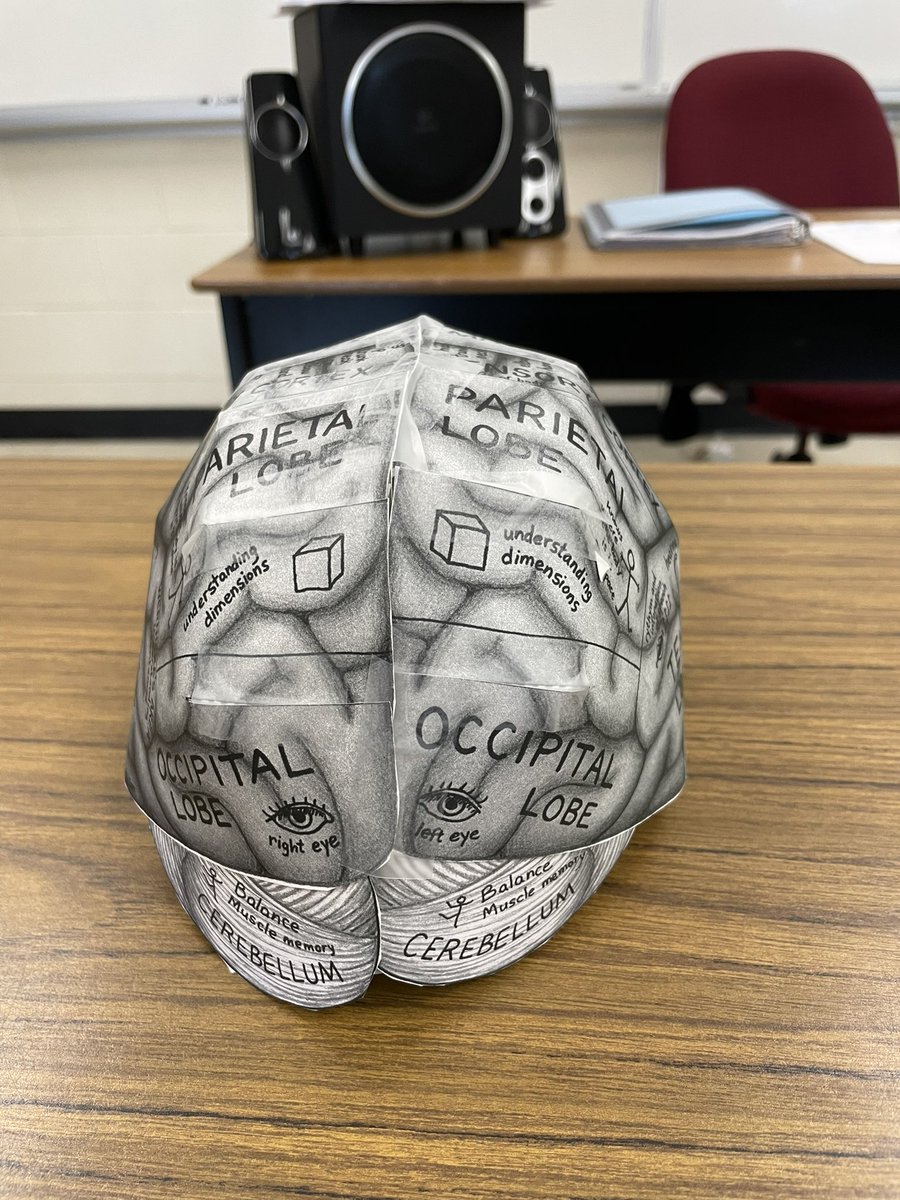 a_dethomasis's tweet photo. Experimental learning the brain 🧠 in HHG4M1. Brain 🧠 hats 🧢 for the win! https://t.co/kSeI60ADx1