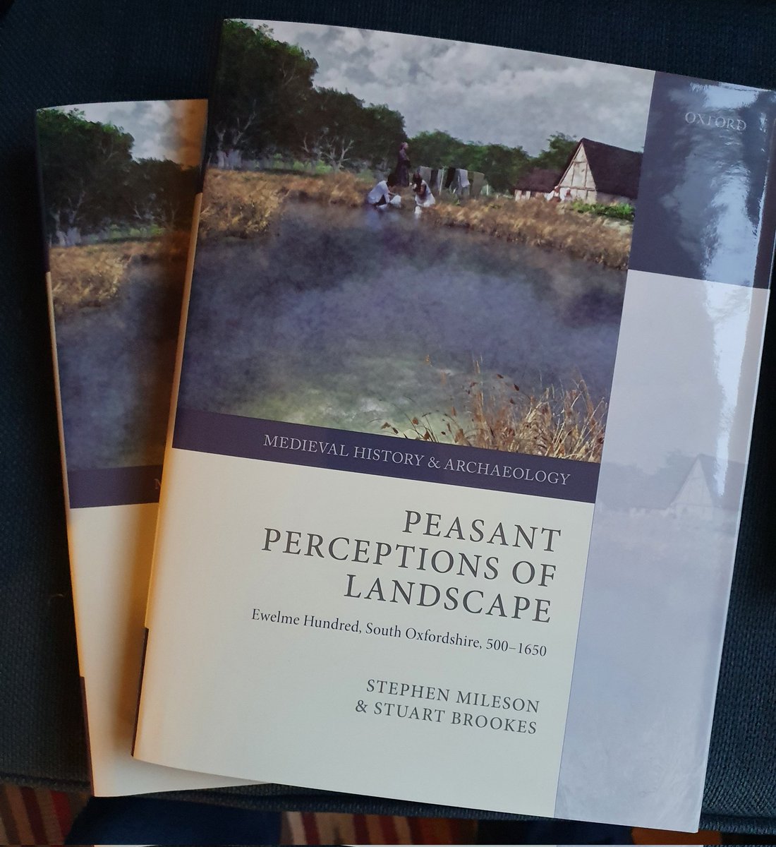 If you are interested in #Medieval #peasants #landscape then look no further for your next favourite book