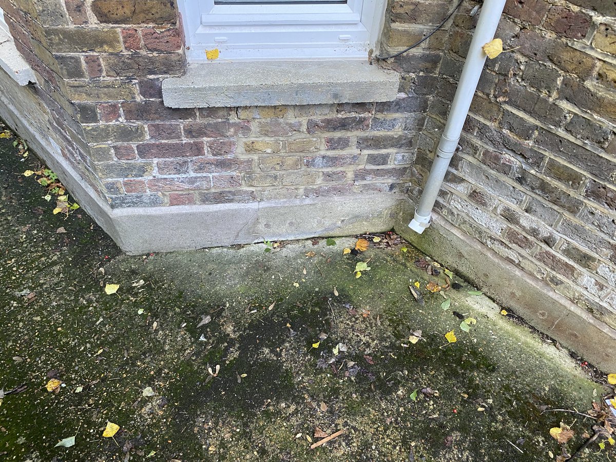 rmjtsmith tweet media