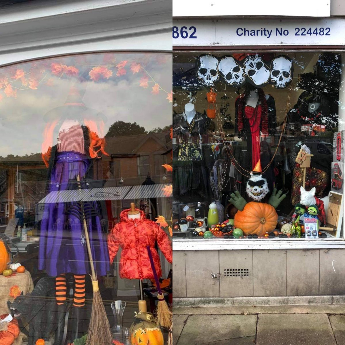 👻🐾 Spooky season is upon us!🐾🦇

Our charity shops are feeling the spooky vibes and have lots of haunted items and scary costumes for you to browse this Halloween!

Maybe consider a second hand costume, or making your own this year out of upcycled materials ♻️