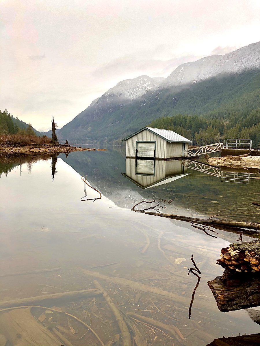 HrJavaheri's tweet photo. Buntzenlake in port moody photography by @HrJavaheri #exposvision_studio #NaturePhotography @vaccsocial https://t.co/lqaS1xA4dA