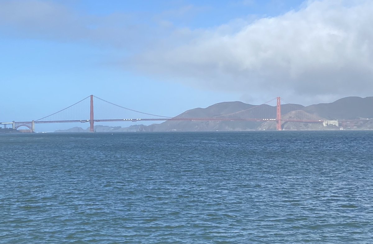 Tara Smith tweet media