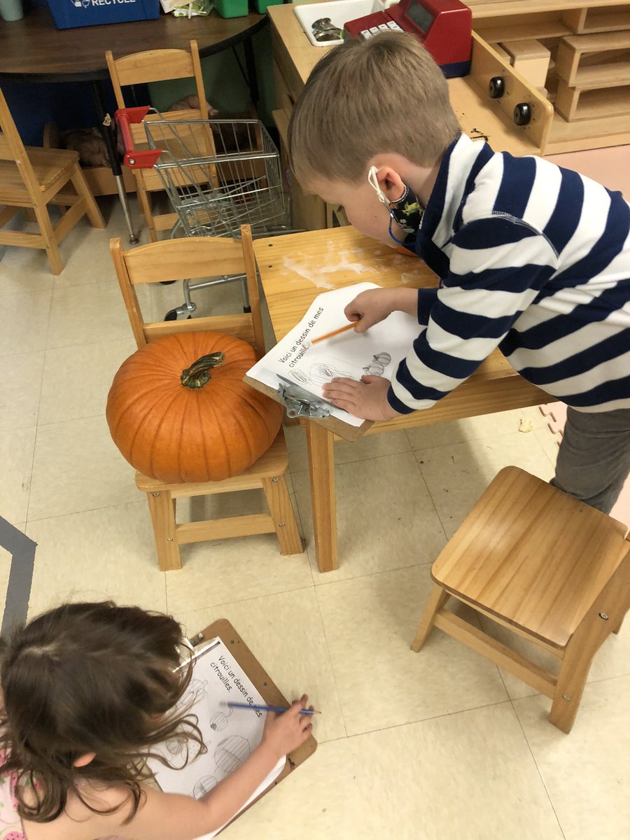 day_mme's tweet photo. We began our ‘Pumpkin Investigation’ today! Thank you to the parents for all the pumpkin donations! Today we pretended to be real scientists and make some predictions and note our observations too. @BishopFeild @NLESDCA @mme_laite #wearescientists #learninginK https://t.co/yOQ2uhWqEk