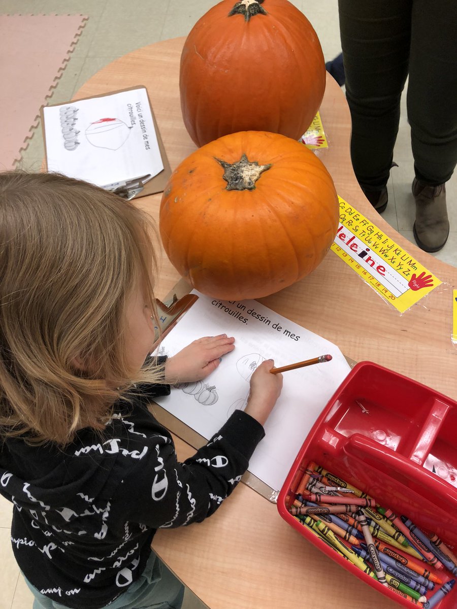 day_mme's tweet photo. We began our ‘Pumpkin Investigation’ today! Thank you to the parents for all the pumpkin donations! Today we pretended to be real scientists and make some predictions and note our observations too. @BishopFeild @NLESDCA @mme_laite #wearescientists #learninginK https://t.co/yOQ2uhWqEk
