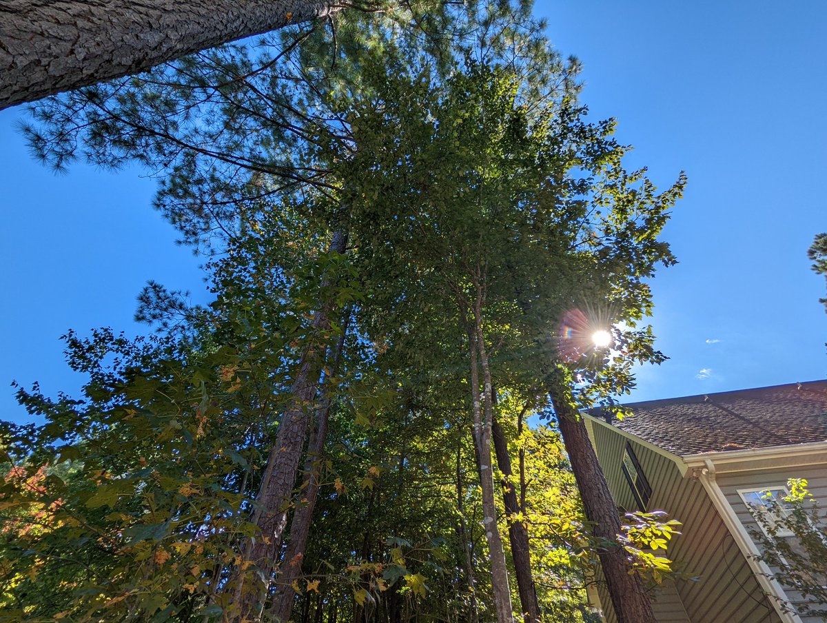 Marks_Tech's tweet photo. Pixel 6 pro on the left 
iPhone 13 pro max on the right

pixel really said: hold my beer... 

#teampixel #giftfromgoogle https://t.co/EYeNvk875r