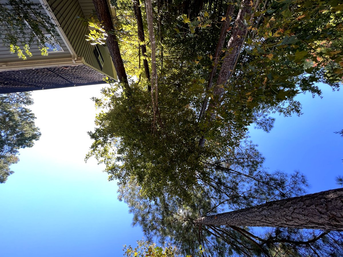 Marks_Tech's tweet photo. Pixel 6 pro on the left 
iPhone 13 pro max on the right

pixel really said: hold my beer... 

#teampixel #giftfromgoogle https://t.co/EYeNvk875r