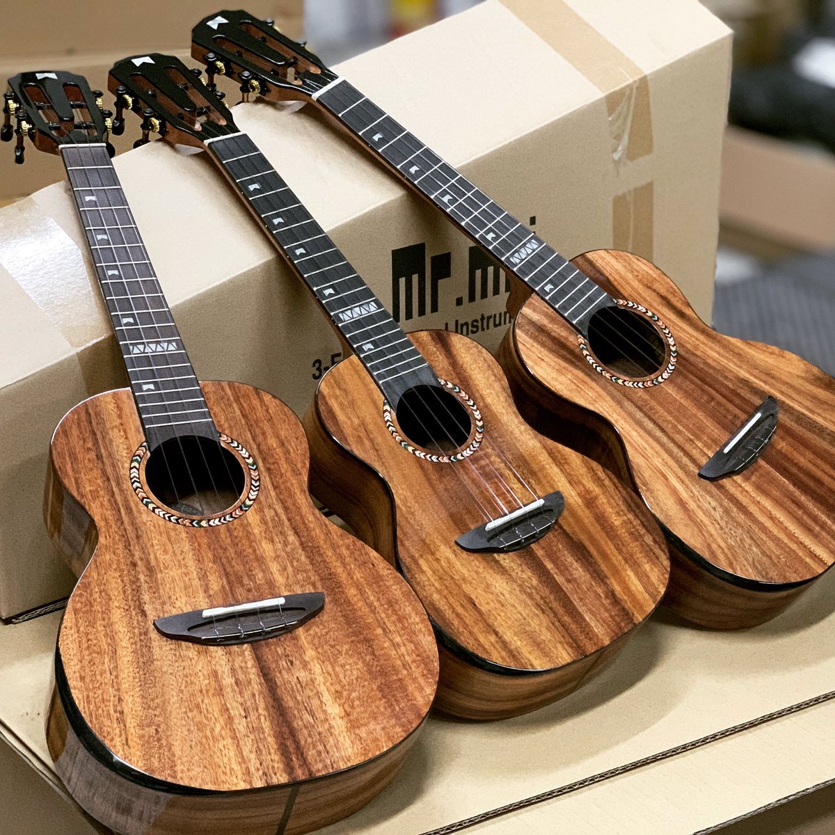 mrmaiukulele's tweet photo. Elder brother (Tenor)with younger brother (concert) ✈️ to 🇫🇷#ukuleleonline #ukuleleshop #ukulelestore #Allsolidkoa #Mrmaiukulele #ukulele #ukuleletutorial #ukulelelessons #ukulelecover #ukuleles #ukulelelove
#ukuleleplayer #ukulelesongs #ukuleletime
#ukulelelover #Ukulélé https://t.co/Q3mos5vS1Z