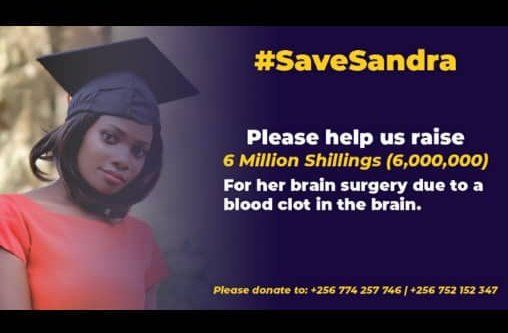 dexterdj__Ug's tweet photo. #SaveASoul 🙏 #SaveSandra https://t.co/i9adwCJHuH