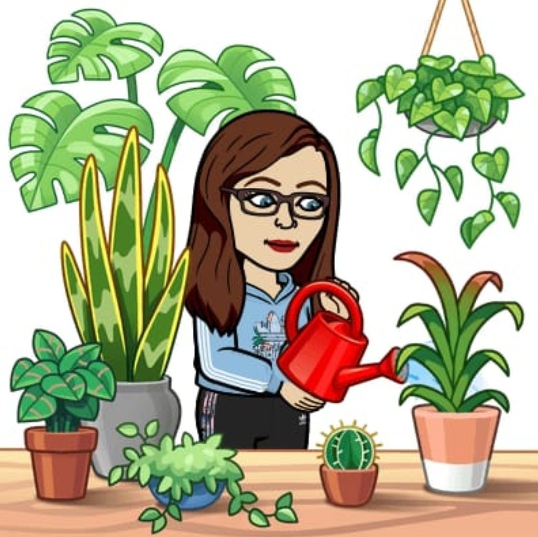 Ms_Greco_Class's tweet image. The following image is a Grade 3: Understanding Life Systems Growth and Changes in Plants Inquiry Planner. 🪴

The inquiry planner focuses on the Science, Language, Visual Arts: Dance, and the Math curriculum documents  🌱✏️🕺➕

Google Docs: 
docs.google.com/document/d/12i…