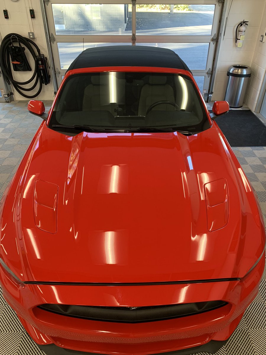 clearautobrami's tweet photo. #mustanggt full hood #paintprotection in progress and completed.  Experience means everything when when tackling a job like this. https://t.co/nURVufAz2c