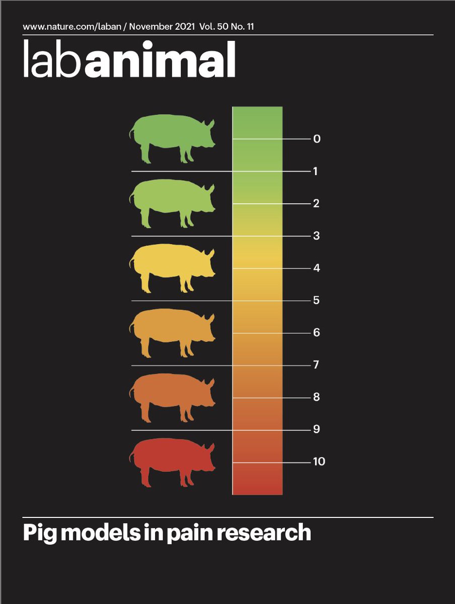 LA_NatRes's tweet photo. November is online  – don’t miss what’s in the last issue of 2021: https://t.co/H7QmAyWI8R
And on the cover:
Pig models in pain research: https://t.co/JFpKEQ9AEm https://t.co/NQ9XwEsPzh