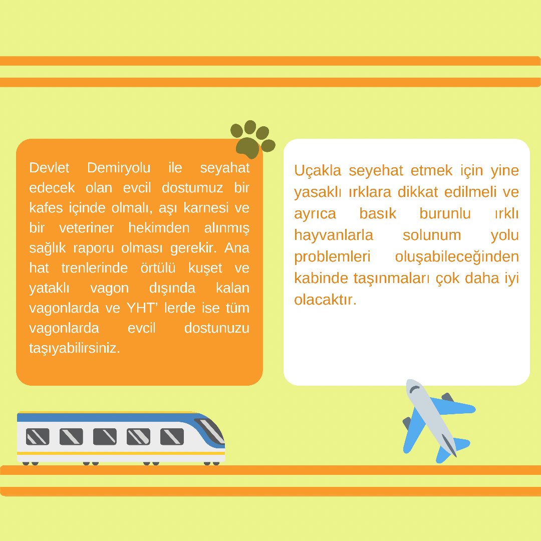 gencvetiz's tweet photo. Edilenler serimizin bu hafta ki konusu “Evcil Dostlarımızla Yolculuk” ✨ #yolculuk #tren #otobüs #uçak #evcildost #kedi #köpek #veteriner #veterinerhekim #gencvetiz https://t.co/2xtqPmqlBx