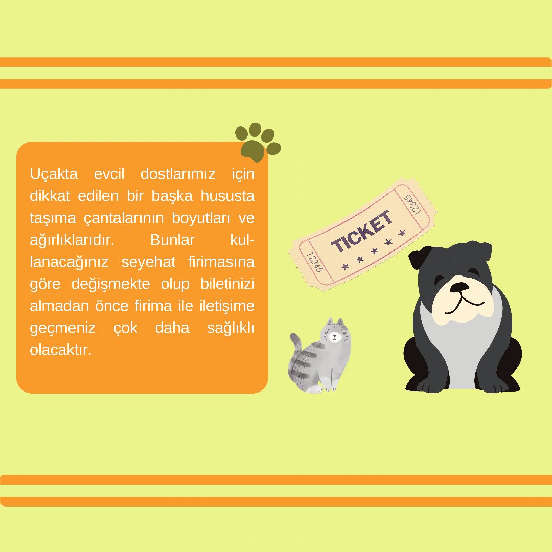 gencvetiz's tweet photo. Edilenler serimizin bu hafta ki konusu “Evcil Dostlarımızla Yolculuk” ✨ #yolculuk #tren #otobüs #uçak #evcildost #kedi #köpek #veteriner #veterinerhekim #gencvetiz https://t.co/2xtqPmqlBx