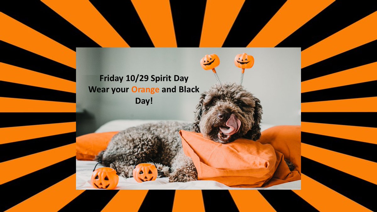 Friday 10/29 Spirit Day!