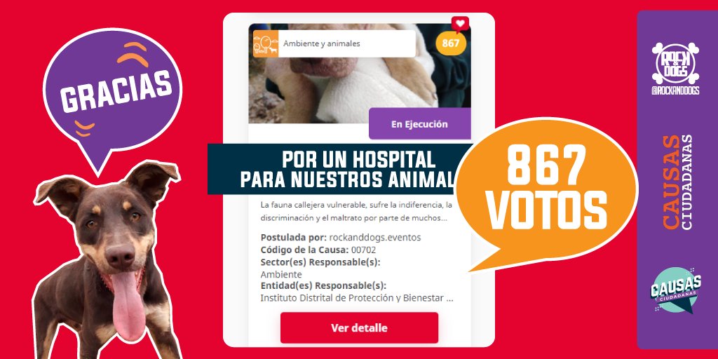 RockAndDogs's tweet photo. Gracias, gracias y más gracias... @GobiernoBTA @LuisErnestoGL @ChangeorgCO @andreanimalidad y a toda la comunidad que se sumo y voto por esta peluda causa. https://t.co/ZL1PjEn3YA