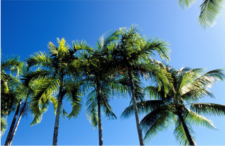 BOM_NT's tweet photo. At 12.30pm today the sun will be exactly overhead #Darwin (sun's rays exactly 90⁰ to the ground) Buildup can feels like the sun is directly overhead most middays but today's exact subsolar point  only happens 2x/yr. If it's not too cloudy your shadow will disappear briefly https://t.co/Ey8dXmf9BO