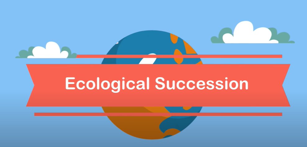 MrKSDyck's tweet photo. Thanks MooMooMath and Science for helping Grade 7s @PortWellerPS understand primary and secondary #Succession. #Biology #Ecology #InteractionsInTheEnvironment @MooMooMath
(https://t.co/8qPyivJ2D7) https://t.co/MtrHeJljlF