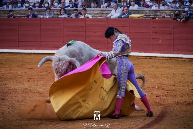 RocioRomeroAlv's tweet photo. Mi Córdoba. Volver a sentirte fue especial, aunque quedaran cosas pendientes. Agradecida siempre. #CreerParaCrecer🌿

📷 @81Paquillo @SalvaLpezMedina https://t.co/JaY1U0GRfH