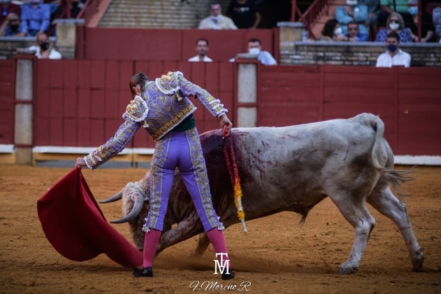 RocioRomeroAlv's tweet photo. Mi Córdoba. Volver a sentirte fue especial, aunque quedaran cosas pendientes. Agradecida siempre. #CreerParaCrecer🌿

📷 @81Paquillo @SalvaLpezMedina https://t.co/JaY1U0GRfH