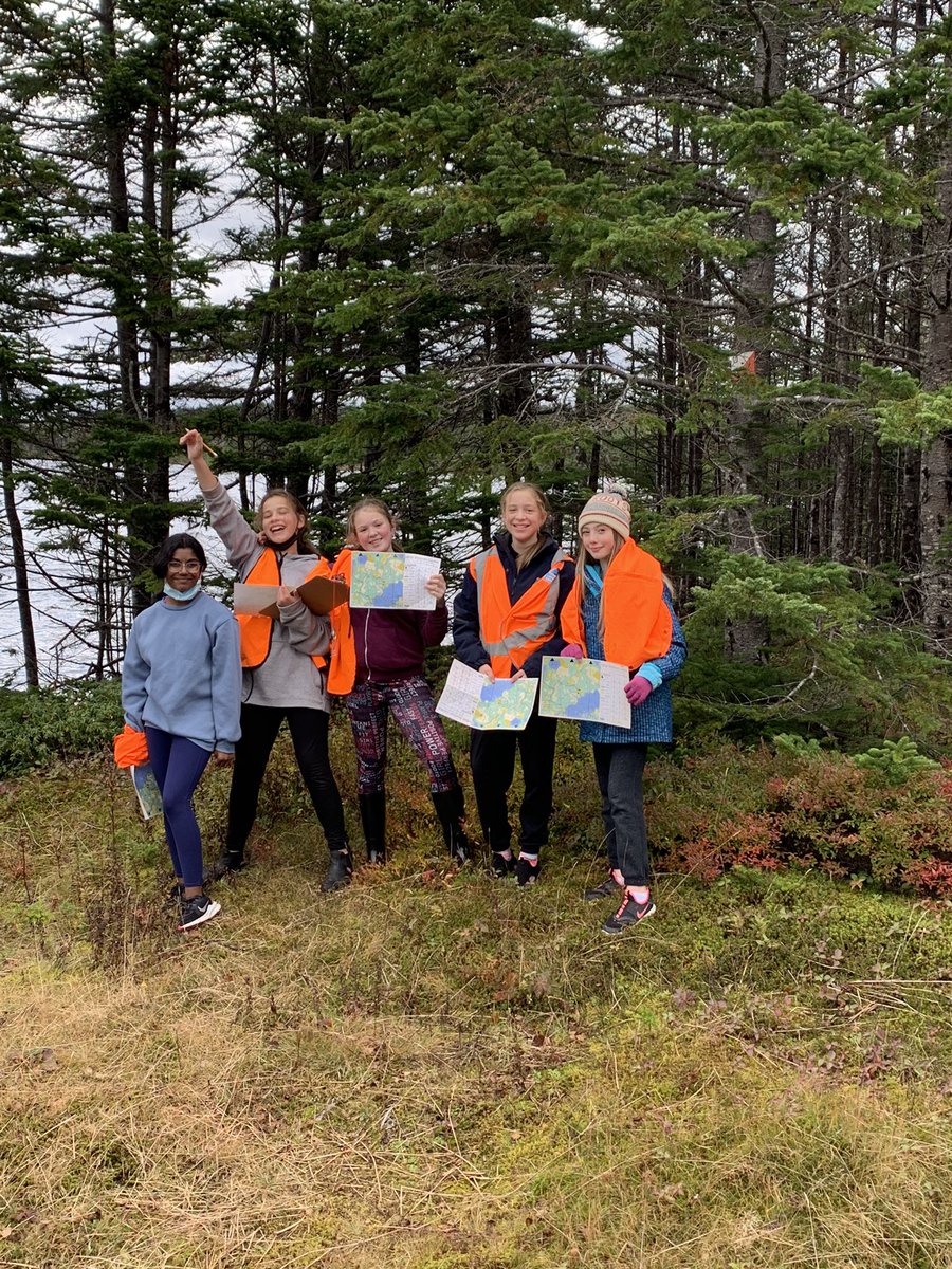 MrHusksGrade5's tweet photo. Orienteering through the fallen forest https://t.co/CwNZKIh5Gd