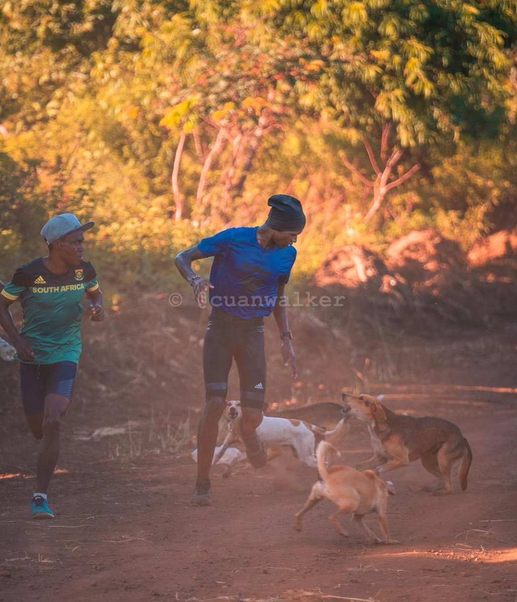 Cuan Walker tweet media