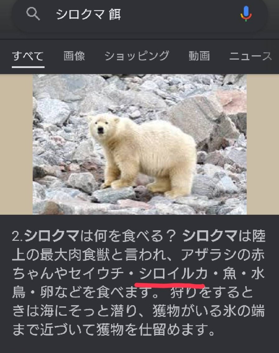 しろくまさん専用ページ disporabudpar.grobogan.go.id